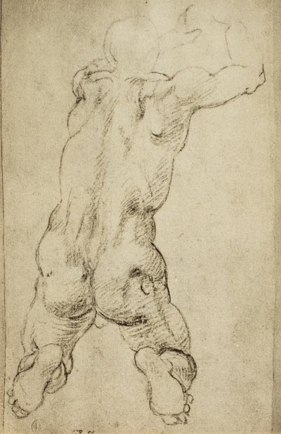 Studie van een viriele figuur door Michelangelo Buonarroti